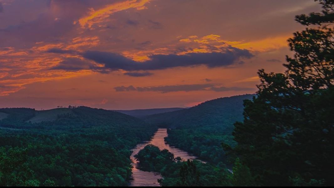 View of Trees and Mountains